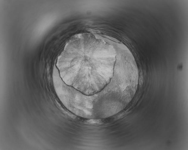 X0000115090477200912081239