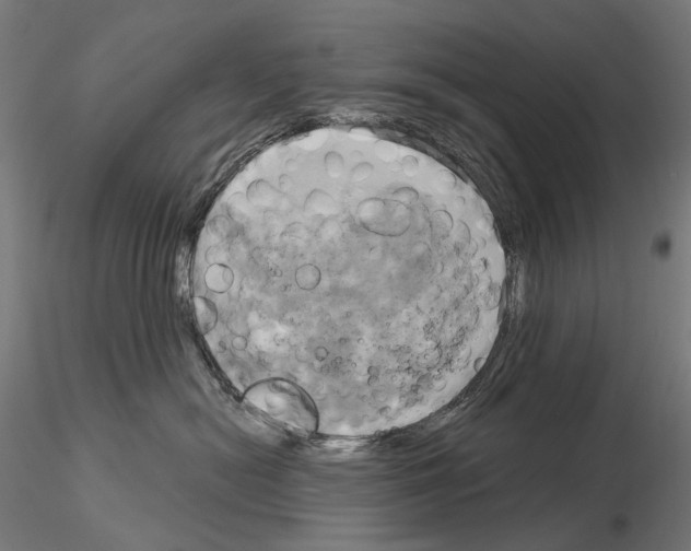 X0000115090478200912081239