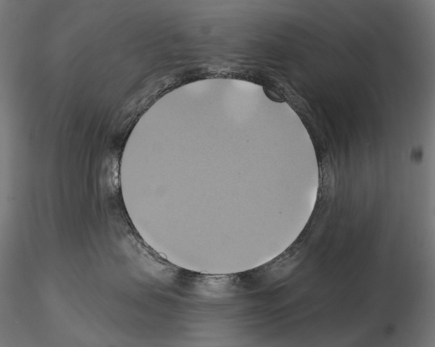 X0000115090479200912081239