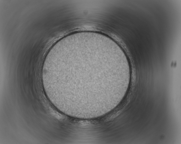 X0000115090481200912081238