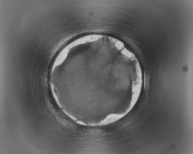 X0000115090483200912081238