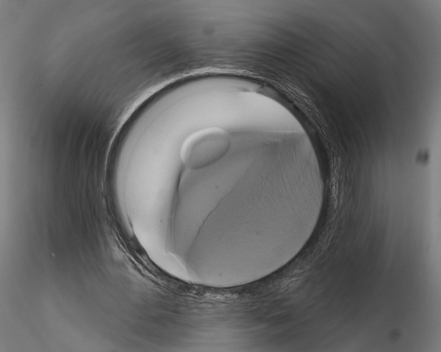 X0000115090484200912081238