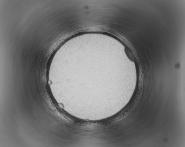 X0000115090485200912081238