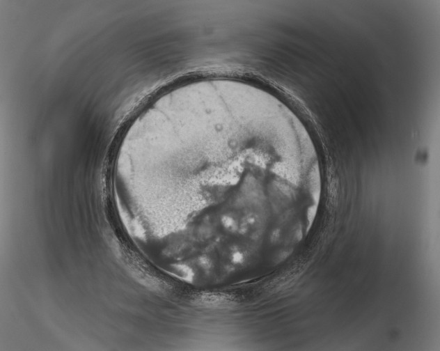 X0000115090487200912081238