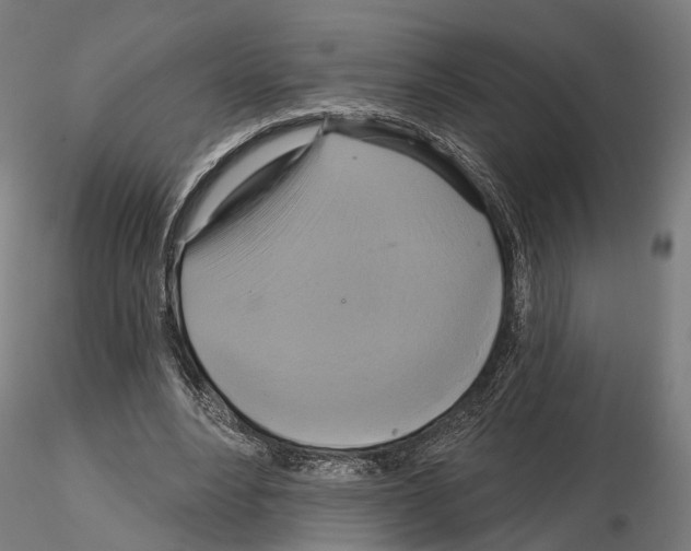 X0000115090488200912081238
