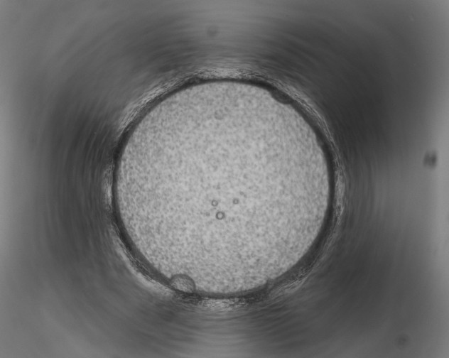 X0000115090489200912081238