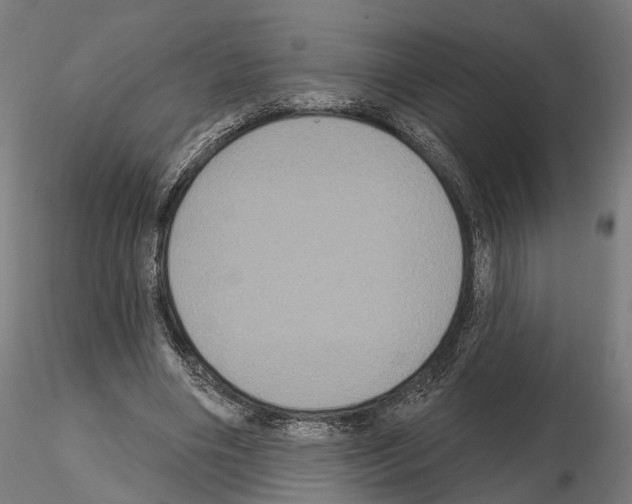 X0000115090490200912081238