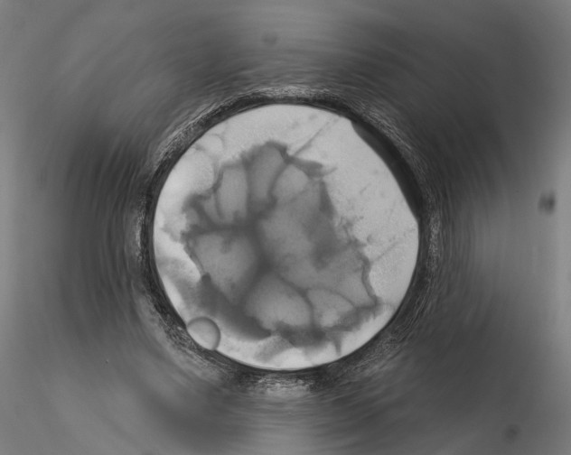 X0000115090491200912081238
