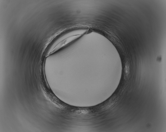 X0000115090492200912081238