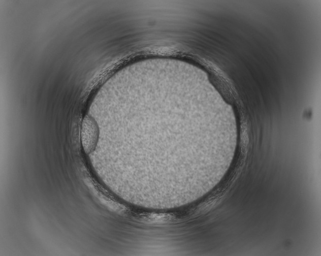 X0000115090493200912081238