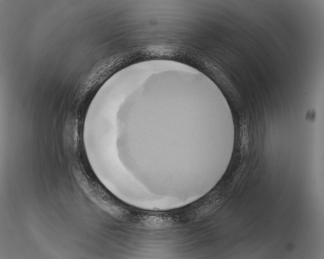 X0000115090494200912081238