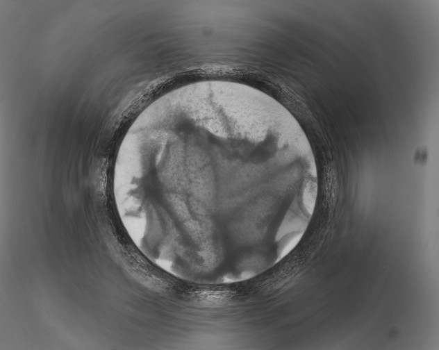 X0000115090495200912081238