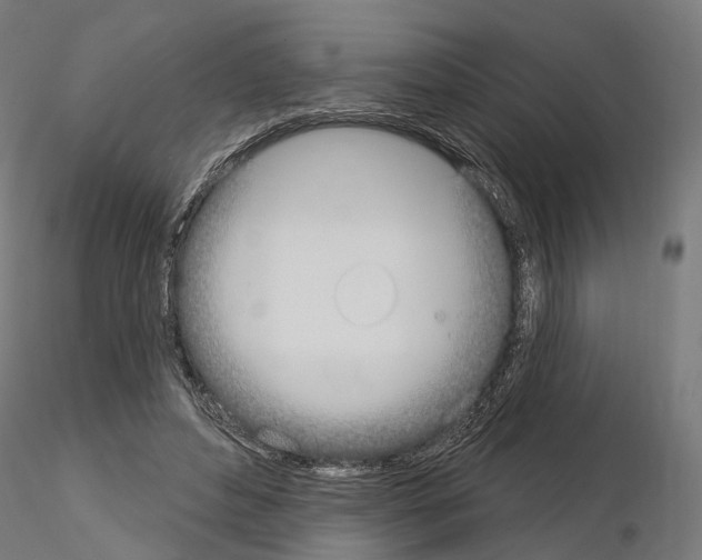 X0000115090496200912081238