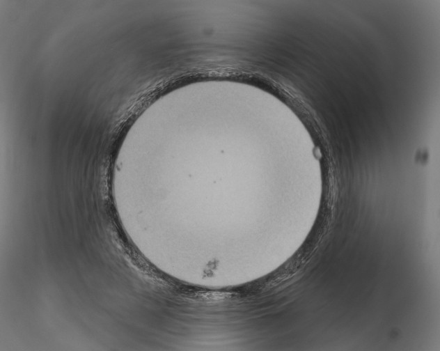 X0000115090497200912081238