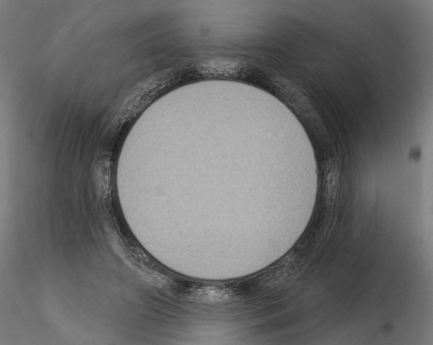 X0000115090498200912081238