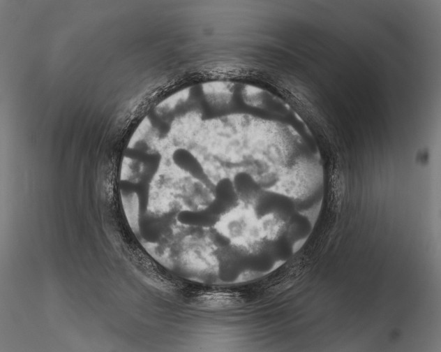 X0000115090499200912081238
