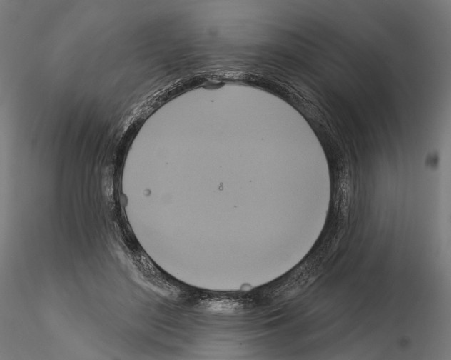 X0000115090500200912081238