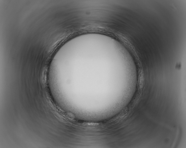 X0000115090501200912081238