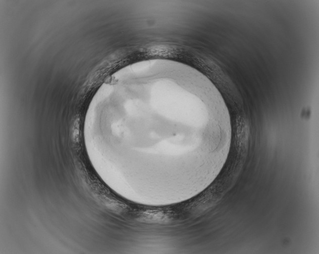X0000115090502200912081238