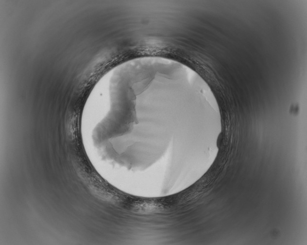 X0000115090503200912081238