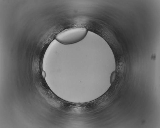 X0000115090504200912081238