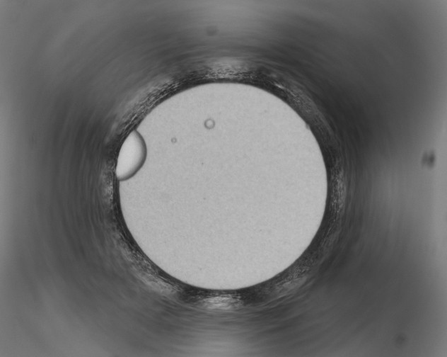 X0000115090505200912081238