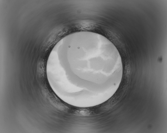 X0000115090506200912081238