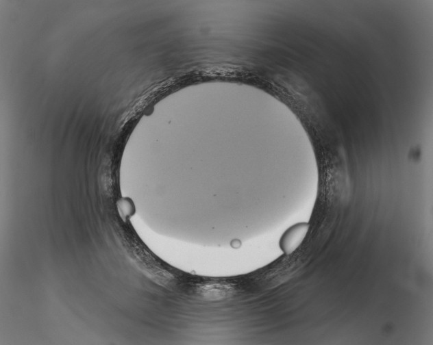 X0000115090508200912081238