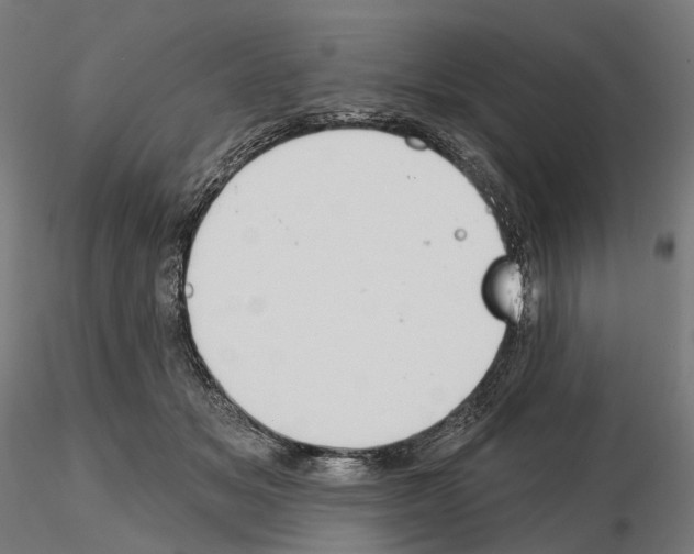 X0000115090509200912081238