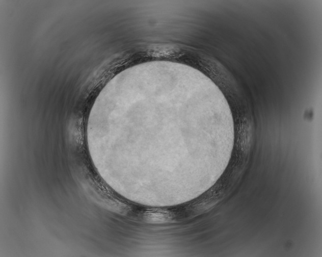 X0000115090510200912081238