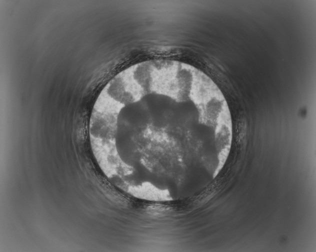 X0000115090515200912081238