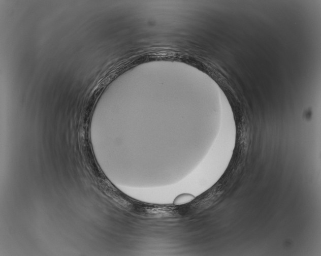 X0000115090516200912081238