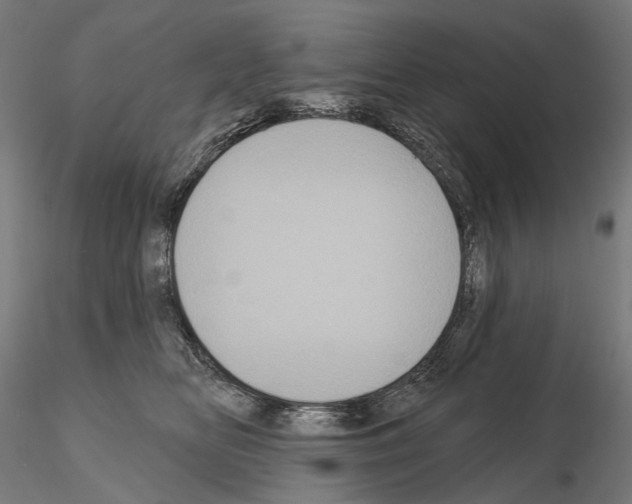 X0000115090518200912081238