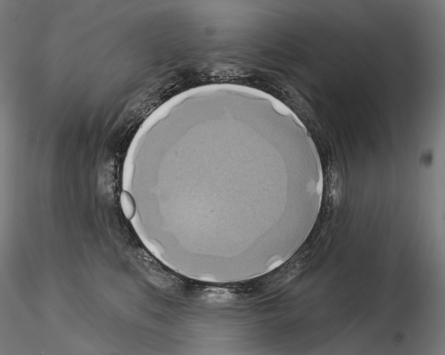 X0000115090519200912081238