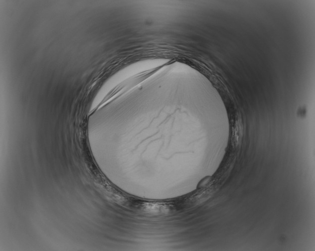 X0000115090520200912081238