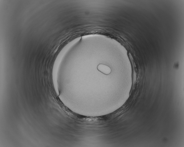 X0000115090524200912081238