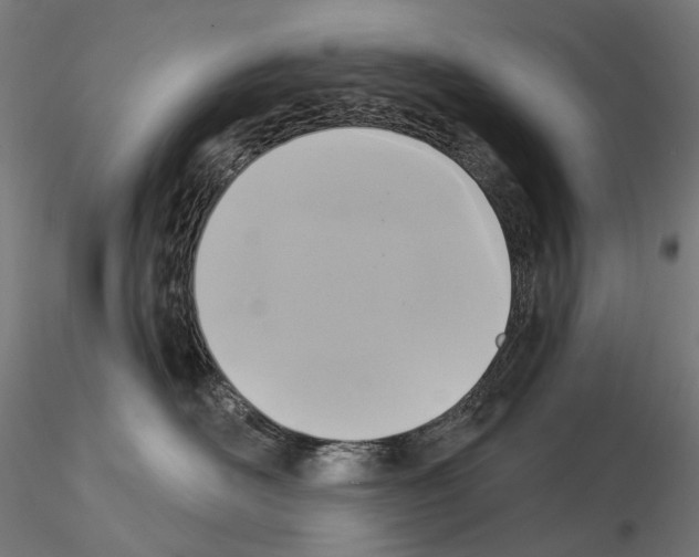 X0000115090526200912081238
