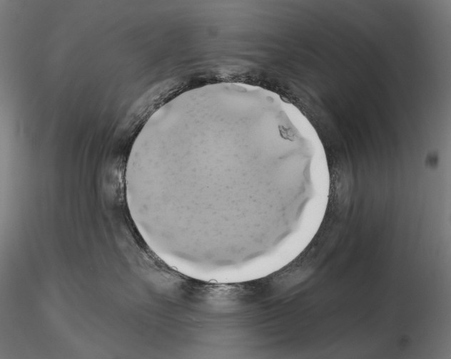 X0000115090527200912081238