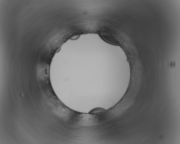 X0000115090528200912081238