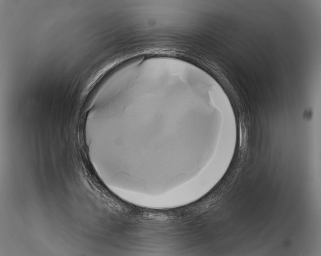 X0000115090531200912081237