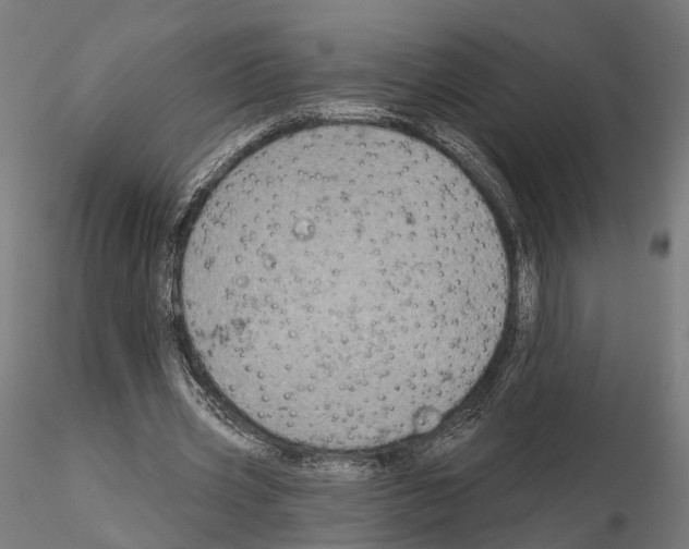 X0000115090533200912081237
