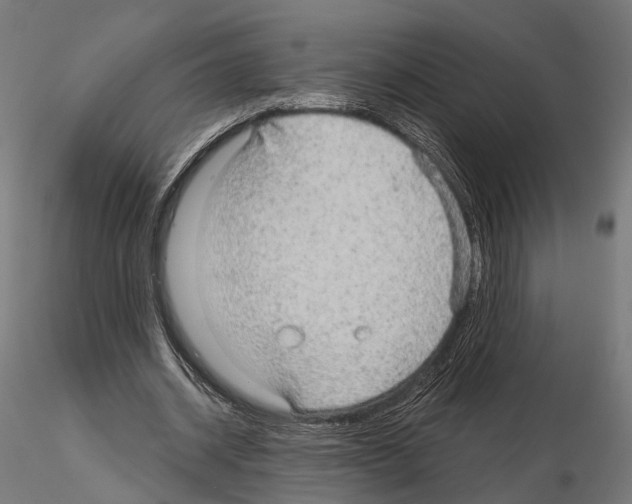 X0000115090534200912081237
