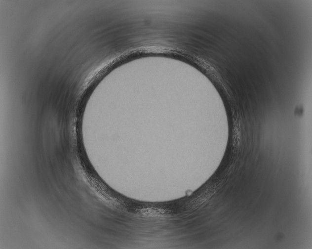 X0000115090535200912081237