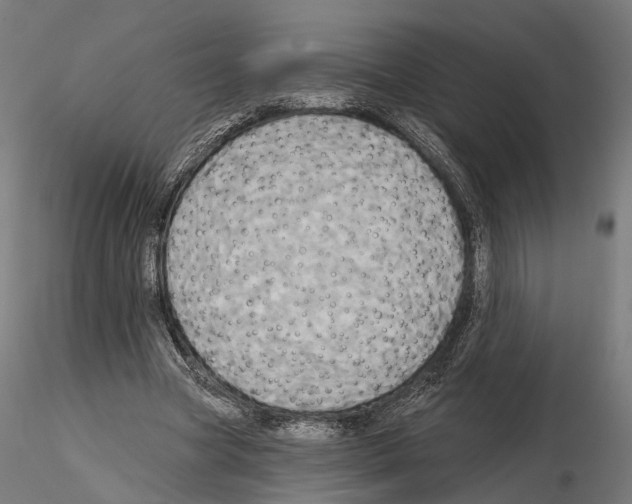 X0000115090537200912081237