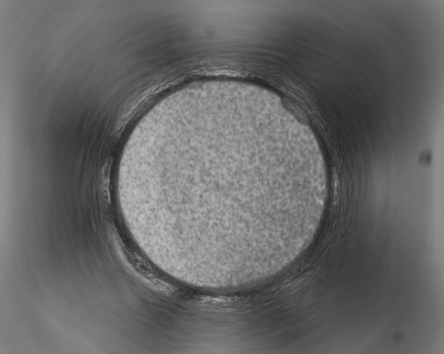 X0000115090538200912081237