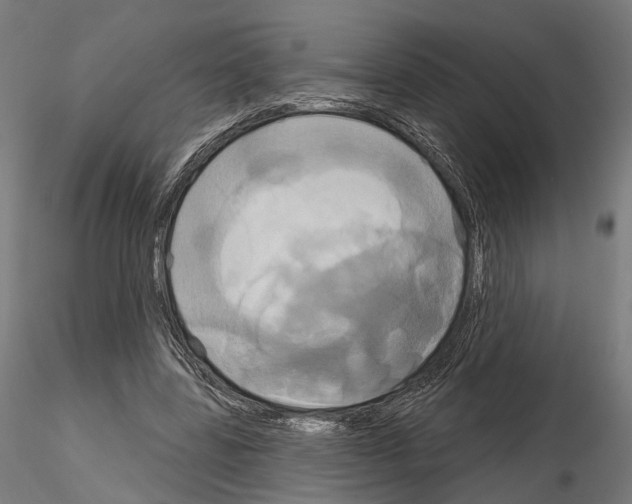 X0000115090539200912081237