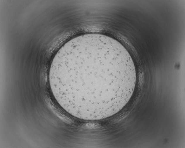 X0000115090541200912081237