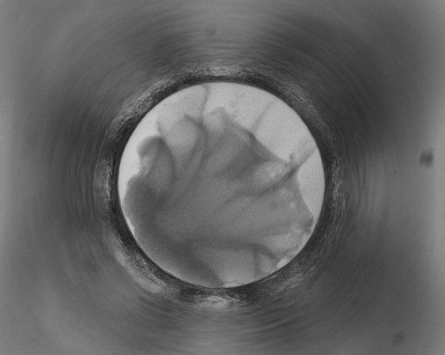 X0000115090542200912081237
