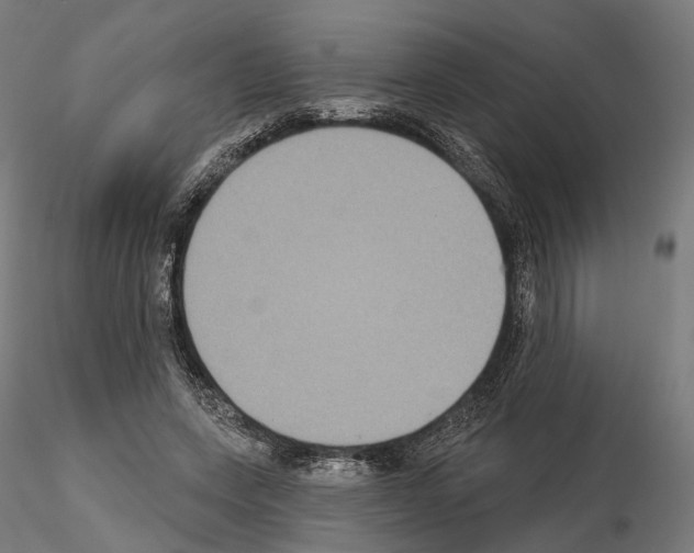 X0000115090543200912081237