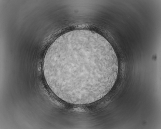 X0000115090545200912081237